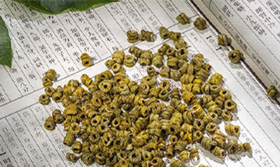 霍山石斛（米斛）每天吃多少合适？霍山石斛的食用量。